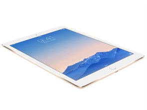 蘋果 iPad Air 2 平板電腦 A8X 處理器與蜂窩網(wǎng)絡(luò)加持的銀色經(jīng)典